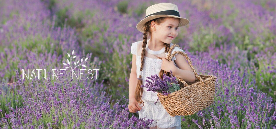 Pflanzen von NatureNest